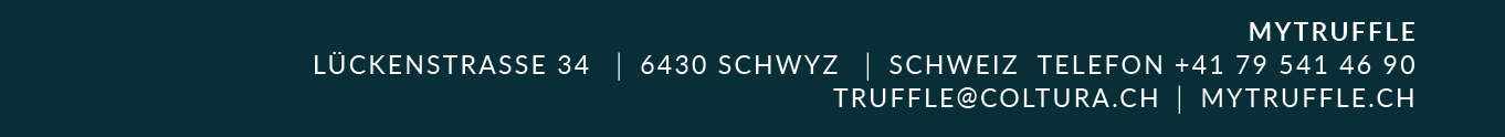 LogoMT